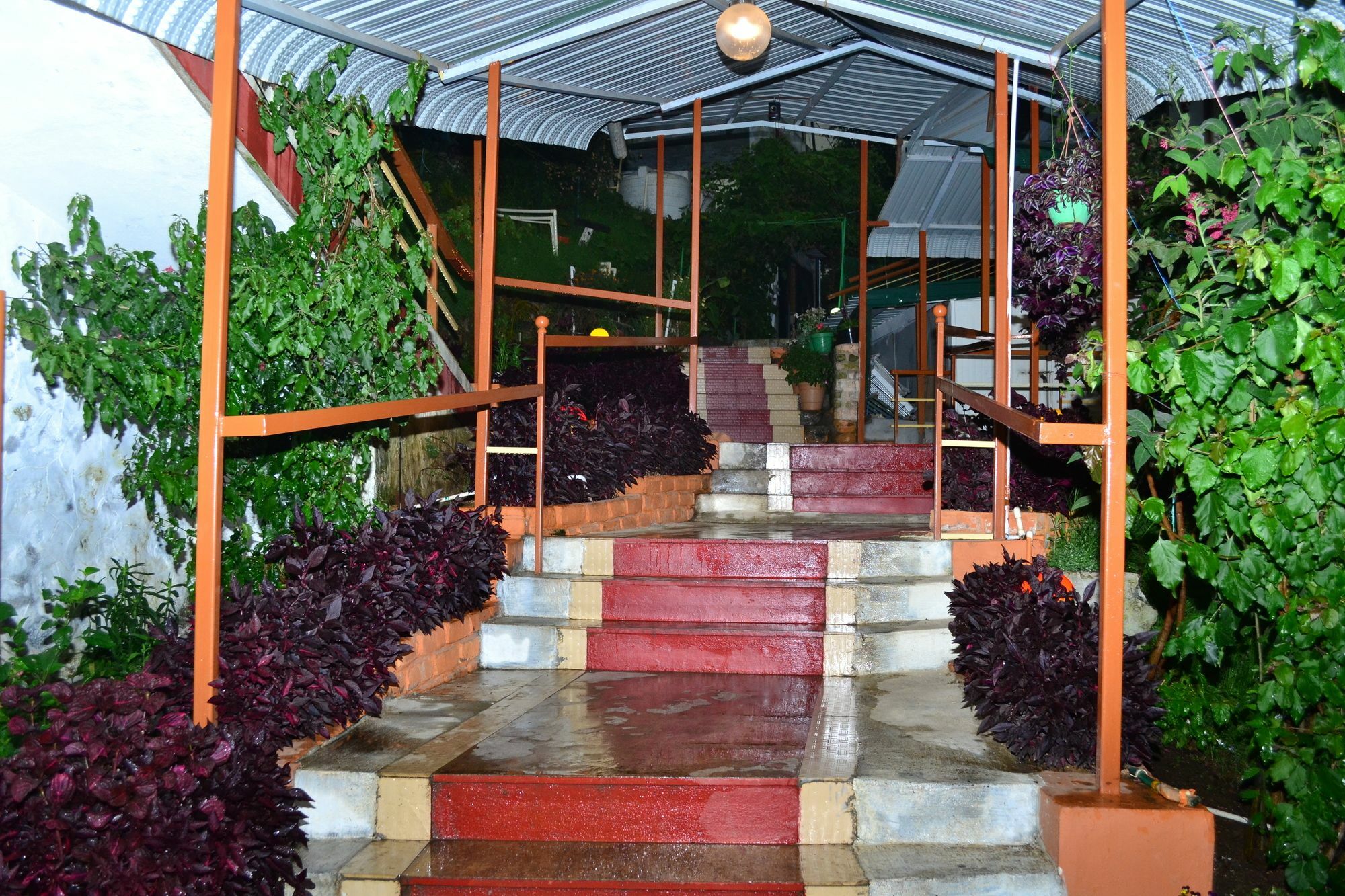 קודאיקנאל Kodai Sunshine Resort מראה חיצוני תמונה